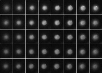  Before each row is a time point